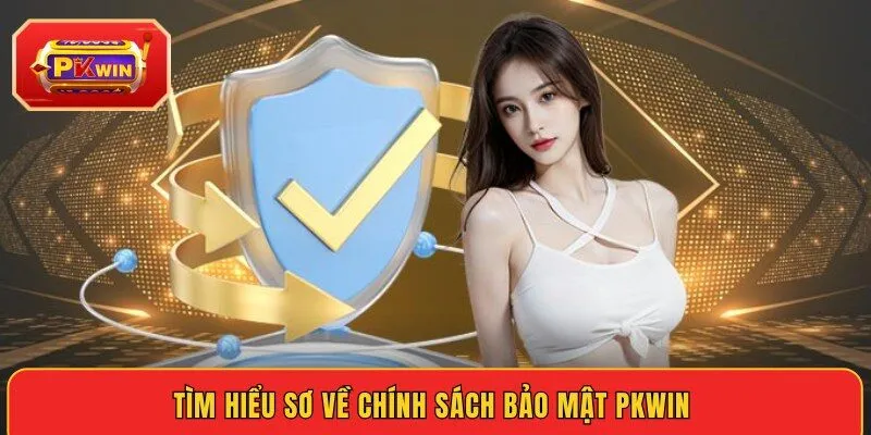 tim-hieu-so-ve-chinh-sach-bao-mat-pkwin